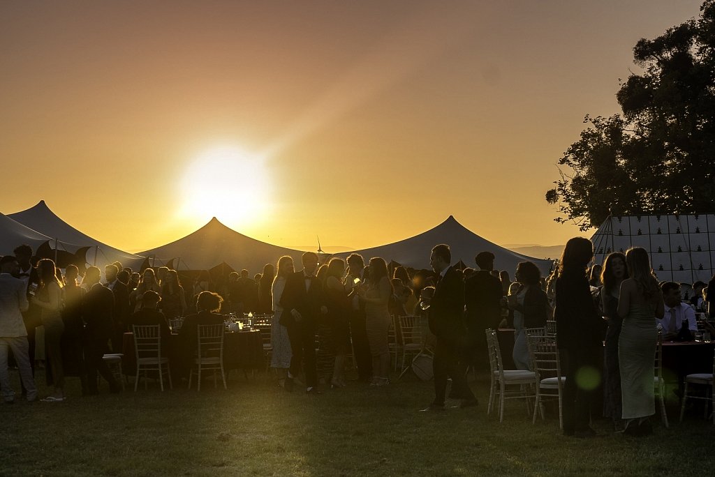 WineStock-Sunset-Best-2.jpg